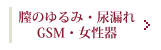 膣のゆるみ・尿漏れ・GSM・女性器