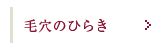 毛穴の開き・黒ずみ