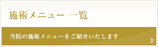 施術メニュー 一覧